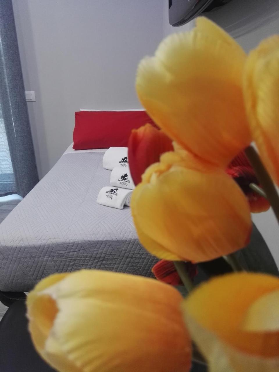 B&B Da Lillo フロジノーネ エクステリア 写真